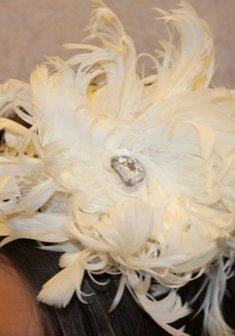 Перья с камнем E23300