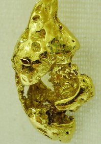  P25253
