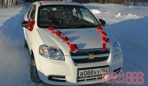 Автомобиль на свадьбу Т2435