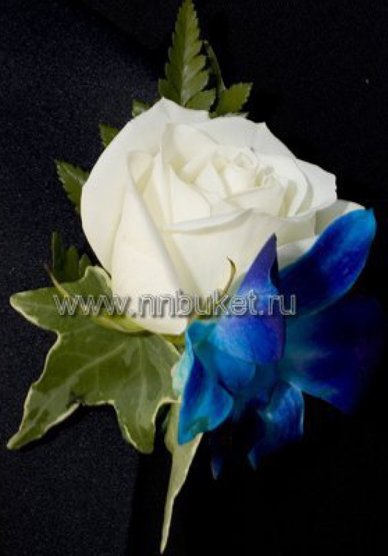 Бутоньерка Э2948 - Сеть магазинов цветов класса премиум Эдем