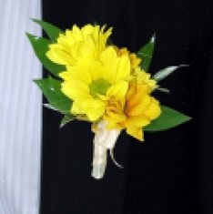 Бутоньерка D2722