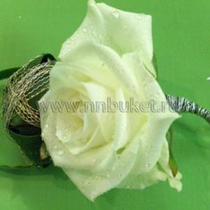 Бутоньерка Э2947