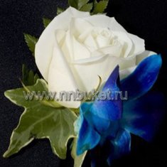 Бутоньерка Э2948