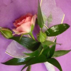 Бутоньерка М3140