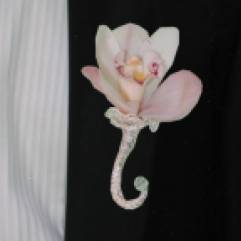 Салон цветов DESIGN & БУКЕТ