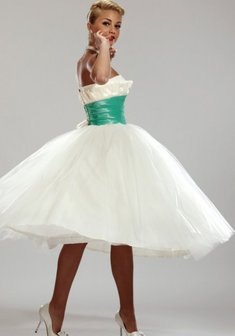 Арт. Polly-S22239