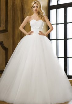 Арт. Аммолизт-V38850