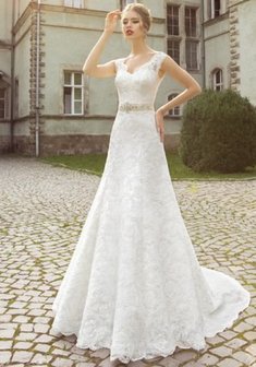 Арт. Вена-V43907