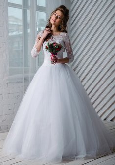 Арт. АЛЬБЕРТА-B46804