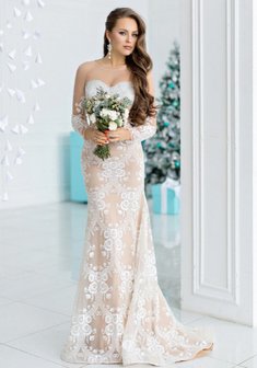 Арт. Диона-V58271