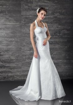 Арт. Бенедикт-Я58558