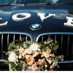 Украшение на авто D47205