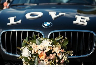 украшение на авто D47205 - ДЕКОР СТУДИЯ DEKOS